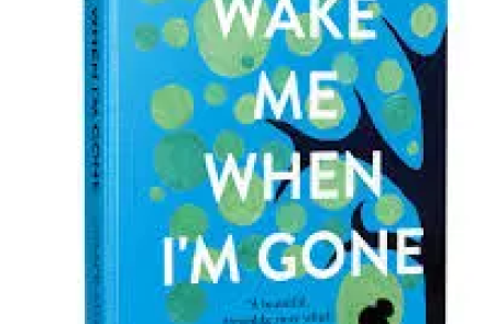 Wake Me Up When I'm Gone