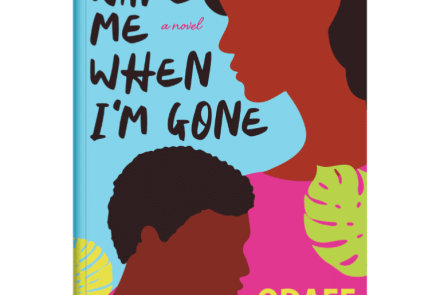 An image of the book cover of the book 'Wake Me When I'm Gone'